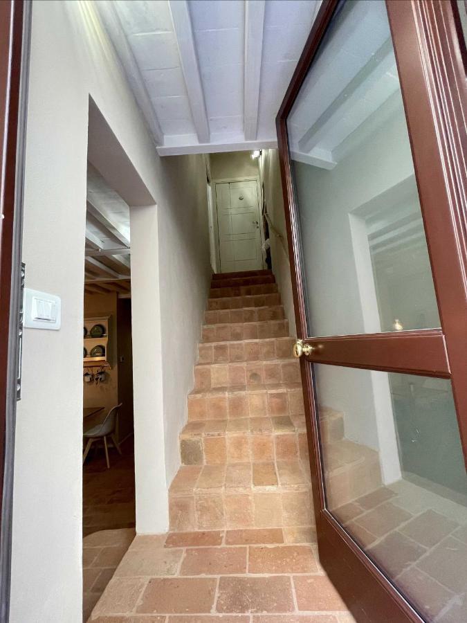 B&B La Fenice Montalcino Esterno foto